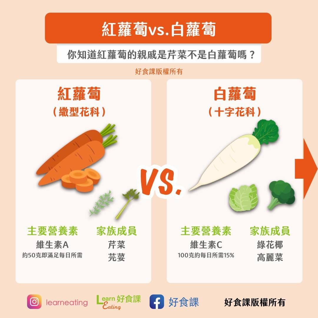 【食物大百科】紅蘿蔔、白蘿蔔原來不是親戚！你知道芹菜才是紅蘿蔔家族的嗎？
